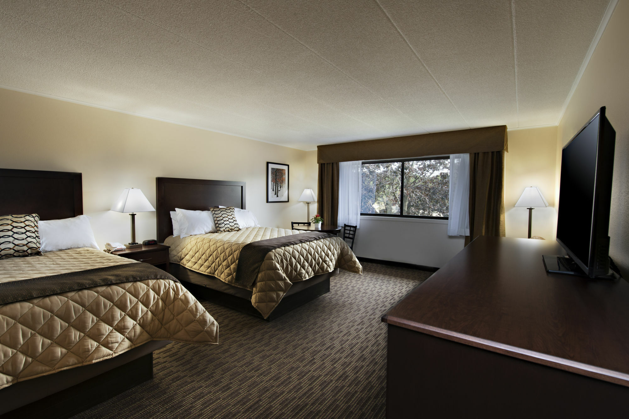 Chestnut Mountain Resort 갈레나 외부 사진
