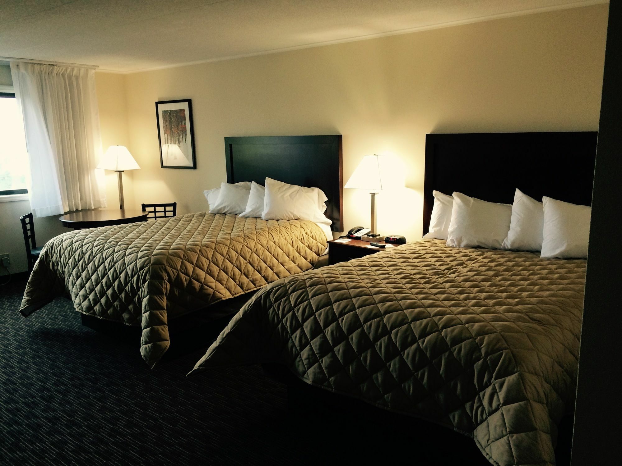 Chestnut Mountain Resort 갈레나 외부 사진